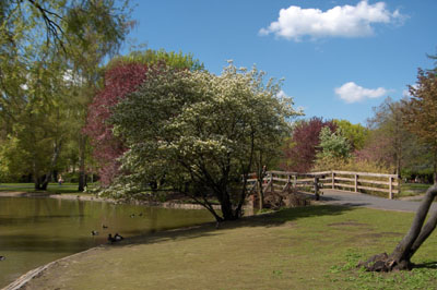 stadtpark.jpg